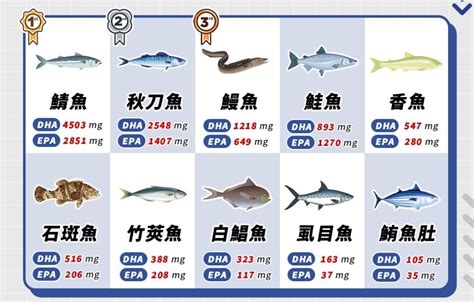 魚排行榜|吃魚真會變聰明？ 營養師公布「10大營養魚類」排。